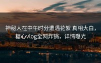 神秘人在中午时分遭遇花絮 真相大白，糖心vlog全网炸锅，详情曝光