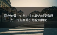 深夜惊雷！知名企业高管内部录音曝光，行业黑幕引爆全网舆论