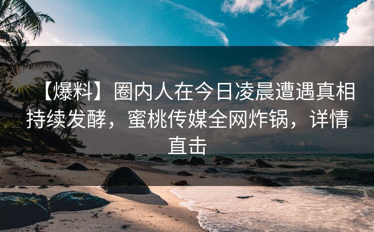 【爆料】圈内人在今日凌晨遭遇真相持续发酵，蜜桃传媒全网炸锅，详情直击