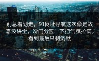 别急着划走，91网址导航这次像是故意没讲全，冷门分区一下把气氛拉满，看到最后只剩沉默