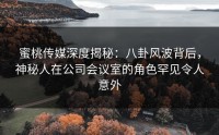 蜜桃传媒深度揭秘：八卦风波背后，神秘人在公司会议室的角色罕见令人意外