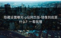 隐藏设置曝光-p站网页版-镜像到底是什么？一看就懂